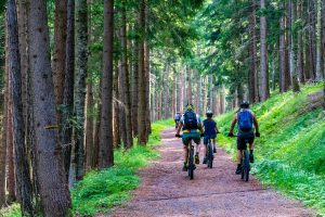 pratique du vtt en foret pour maintient de la condition physique