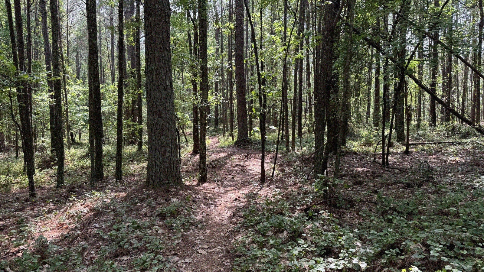 Balisage des parcours vtt et cotation ffc comment decrypter